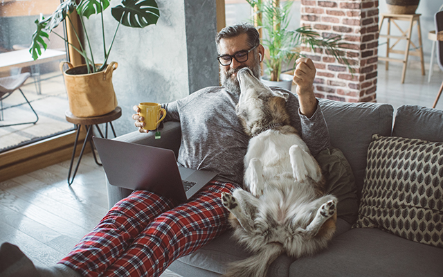 Herr sitzt mit einem Laptop und einem Hund auf dem Sofa Herr sitzt mit einem Laptop und einem Hund auf dem Sofa