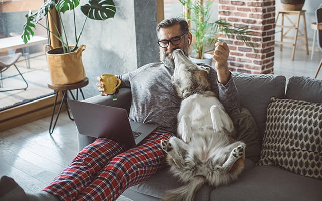 Herr sitzt mit einem Laptop und einem Hund auf dem Sofa